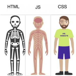 وظایف html,css,js